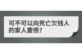 娄星如何避免债务纠纷？专业追讨公司教您应对之策