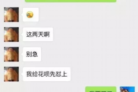 娄星专业讨债公司有哪些核心服务？